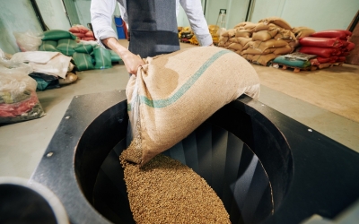 NHẬP NGUYÊN LIỆU ĐẦU VÀO